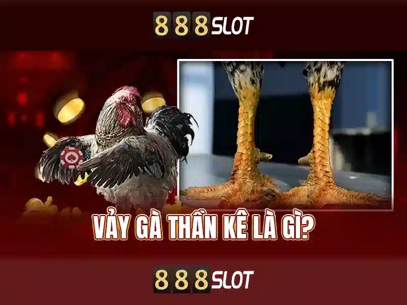 888slot là gì? 888slot là gì?
