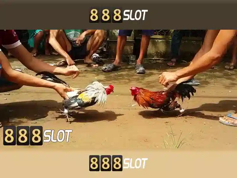 Tính năng nổi bật Tính năng nổi bật