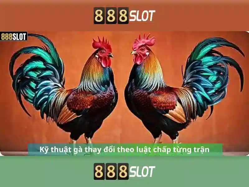 'Giới thiệu về 888slot' 'Giới thiệu về 888slot'