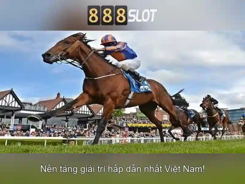 Khuyến mãi và chương trình thưởng Khuyến mãi và chương trình thưởng