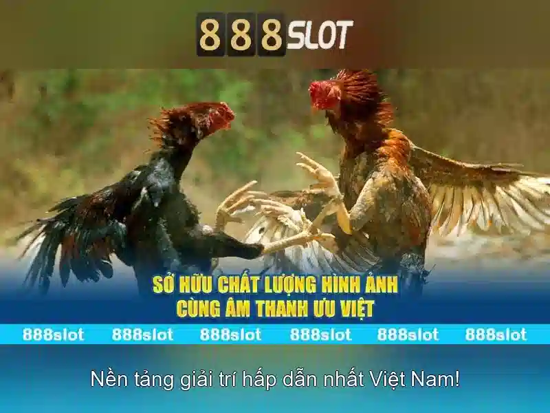 Trải nghiệm người dùng và giao diện