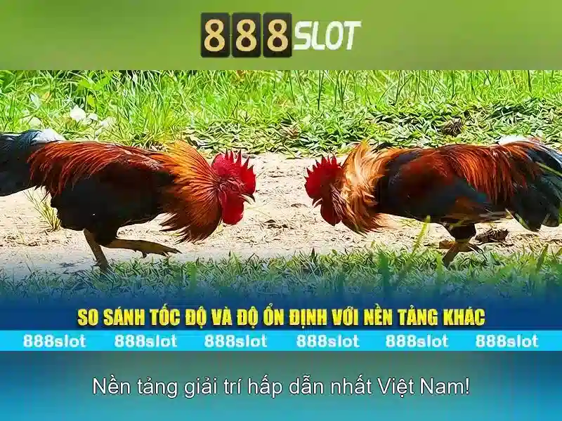 Khuyến mãi và ưu đãi Khuyến mãi và ưu đãi