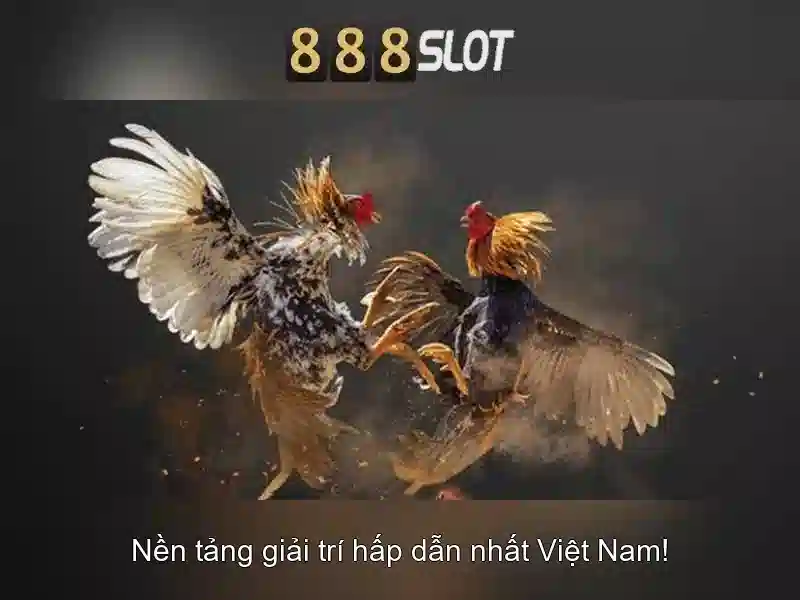 Lời kết Lời kết
