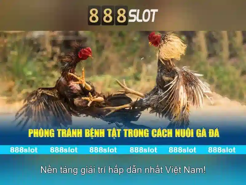 Bull Bull trực tuyến