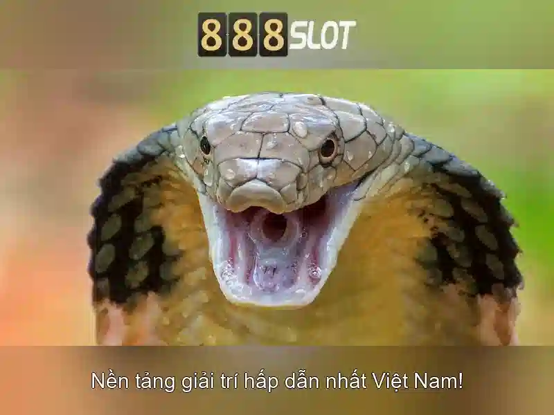 Buoc-dang-nhap-dan-chu