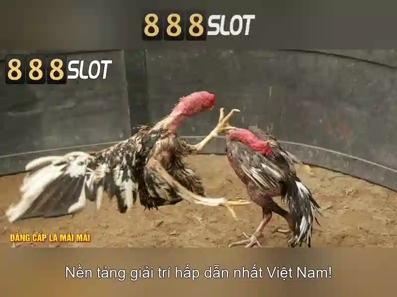 Việt Vị Trong Bóng Đá
