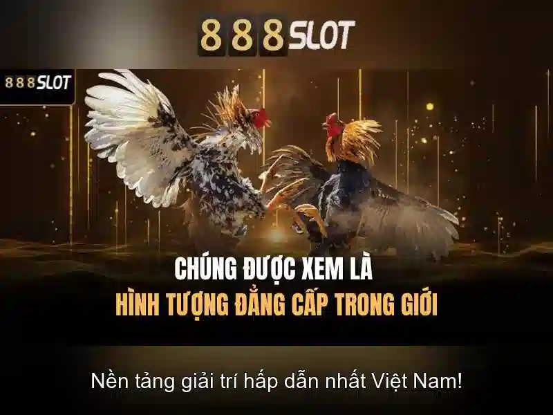 Bull Bull trực tuyến